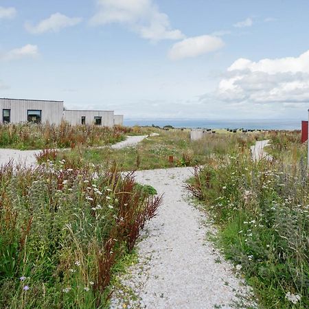 Rustic Cabins, Sea Views From Rewilded Farm With Highland Cows St Andrews Zewnętrze zdjęcie