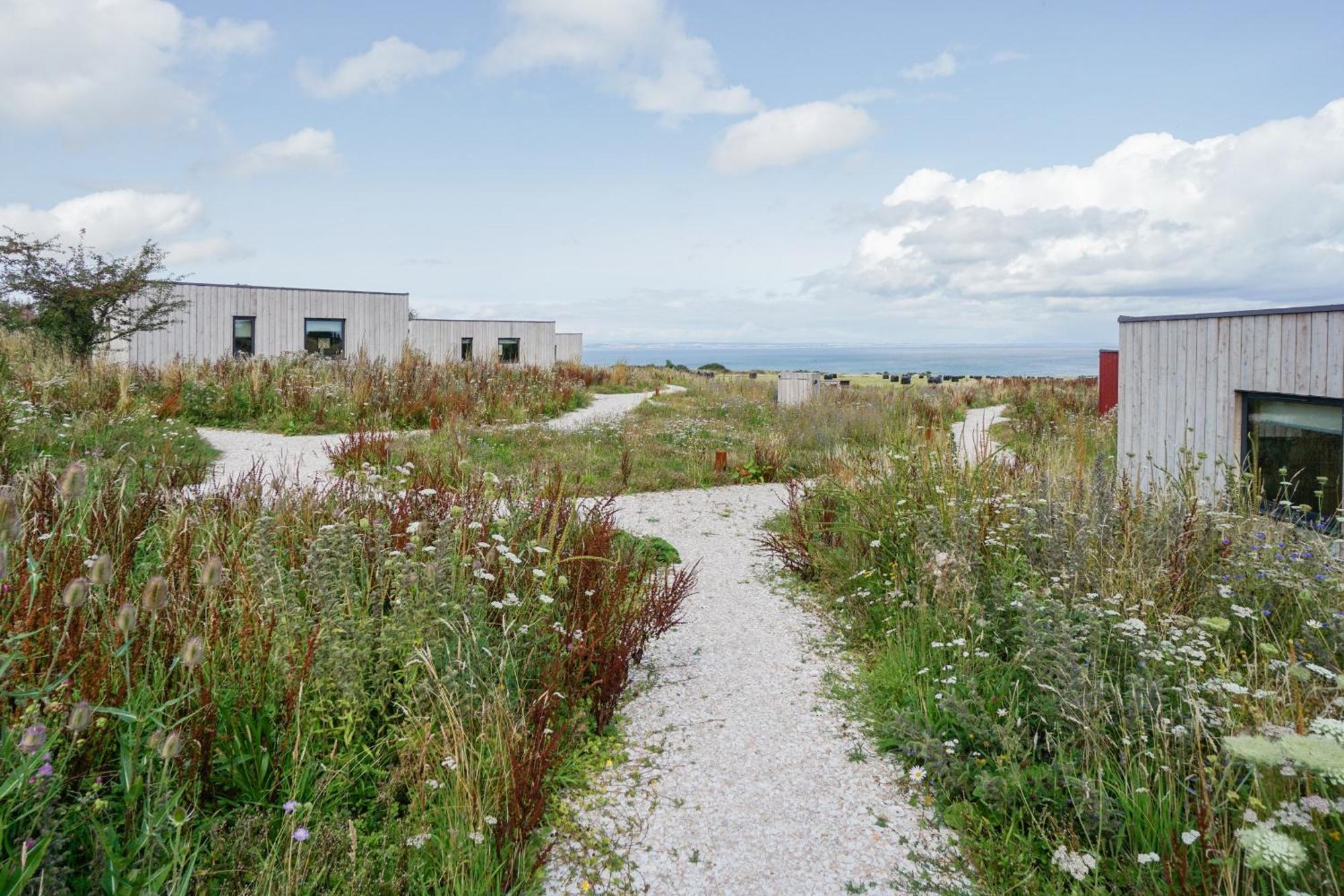 Rustic Cabins, Sea Views From Rewilded Farm With Highland Cows St Andrews Zewnętrze zdjęcie