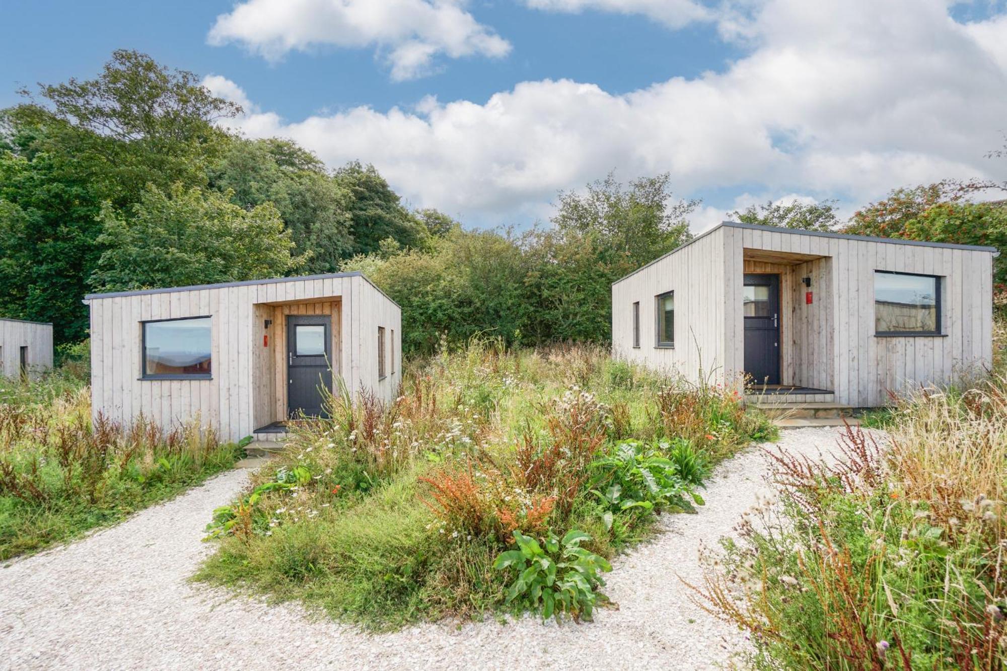 Rustic Cabins, Sea Views From Rewilded Farm With Highland Cows St Andrews Zewnętrze zdjęcie